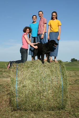 Bales are great fun to climb on!