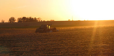 Steve combining soybeans, October 2005