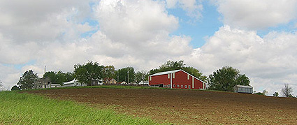 Paul's Grains' farm, May 2005