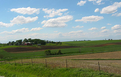 golden grains farm wi