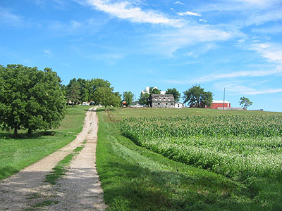 Heading up the farm lane, August 2006