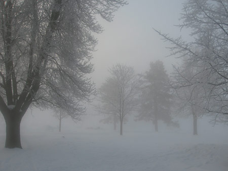 A foggy February morning