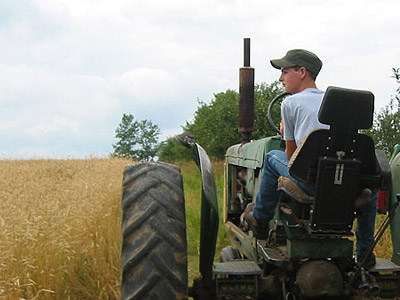 Daniel driving the old Oliver 77