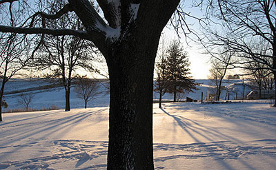 Fresh snowfall, January 2007