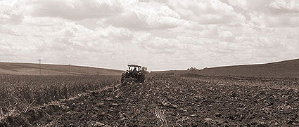 Daniel plowing before planting soybeans, May 2005.