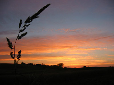 Sunset over our farm, May 2006